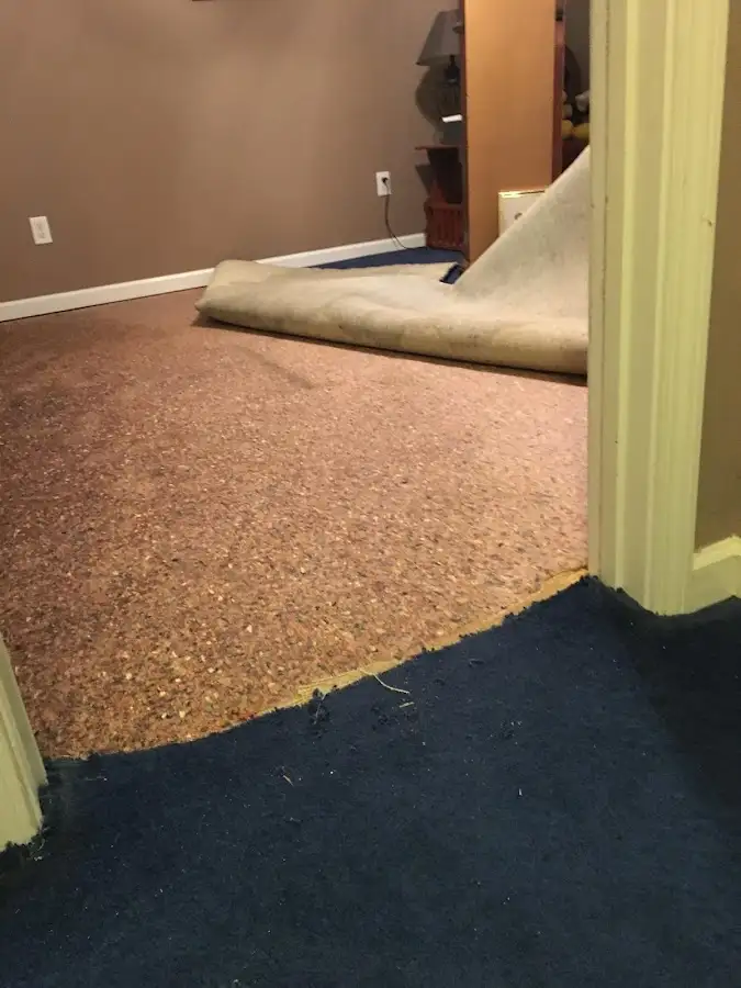 Carpet pad removal revealing water damage during Drying & Dehumidification in Thornapple