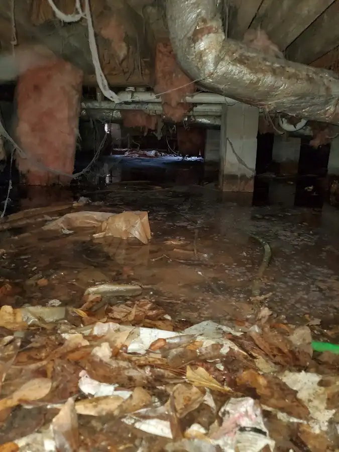 Crawl space flood assessment for Leak Detection & Repair in Thornapple