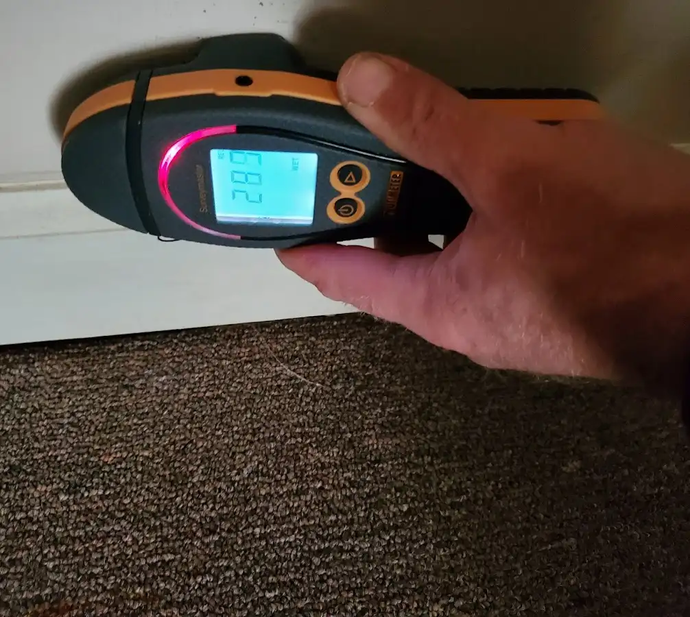 Moisture detection at baseboard during Burst Pipe Cleanup in Thornapple